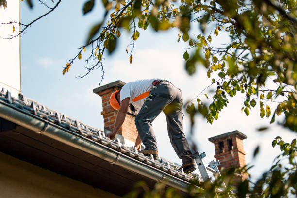 Quick and Trustworthy Emergency Roof Repair Services in Plainwell, MI