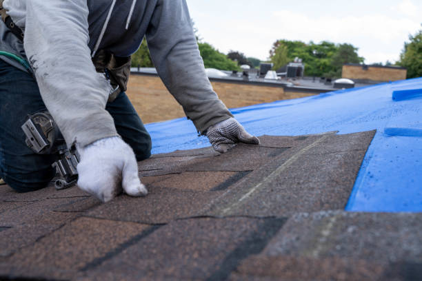 Professional Roofing Contractor in Plainwell, MI