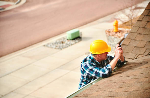 Best Roof Gutter Cleaning  in Plainwell, MI