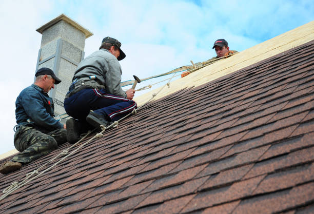 Best Residential Roofing Contractor  in Plainwell, MI