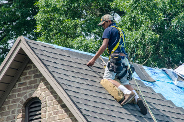 Best Slate Roofing Contractor  in Plainwell, MI