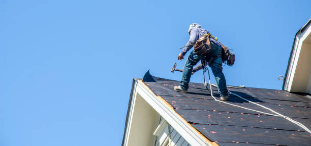 Best Flat Roof Repair Services  in Plainwell, MI